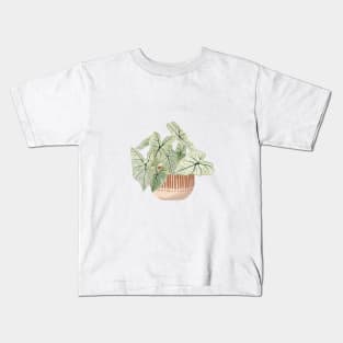 Caladium plant art Kids T-Shirt